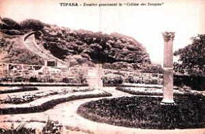 Tipasa - Ruines romaines 14